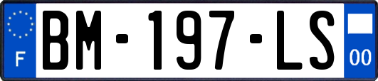 BM-197-LS