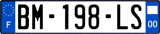 BM-198-LS