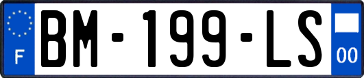 BM-199-LS