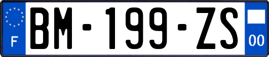 BM-199-ZS