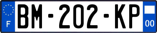 BM-202-KP