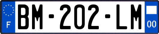BM-202-LM