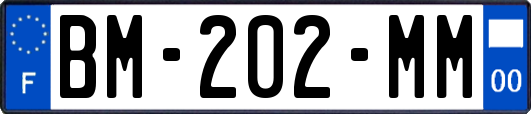 BM-202-MM