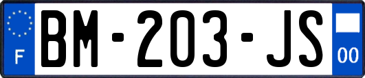 BM-203-JS