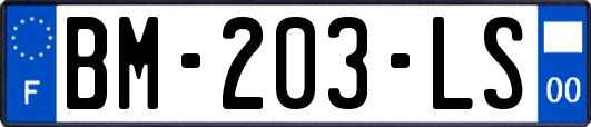 BM-203-LS