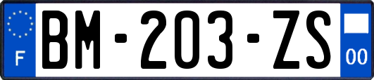 BM-203-ZS