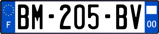 BM-205-BV