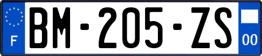 BM-205-ZS