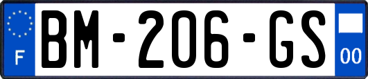 BM-206-GS