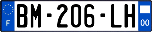 BM-206-LH