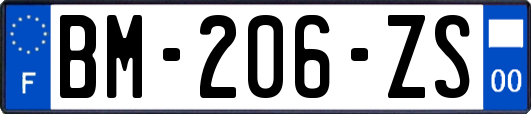 BM-206-ZS