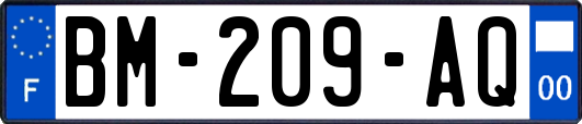 BM-209-AQ