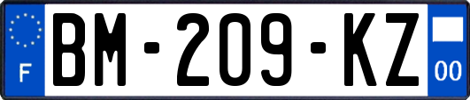 BM-209-KZ