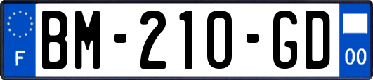 BM-210-GD