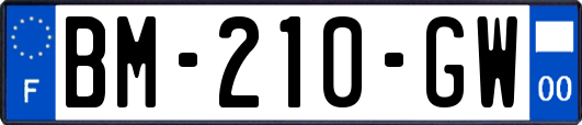 BM-210-GW