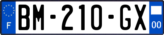 BM-210-GX