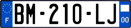 BM-210-LJ