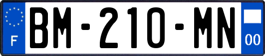 BM-210-MN