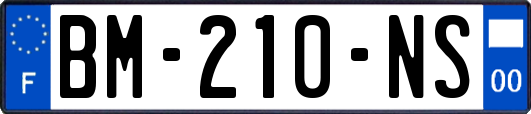 BM-210-NS