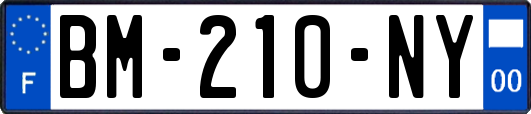 BM-210-NY