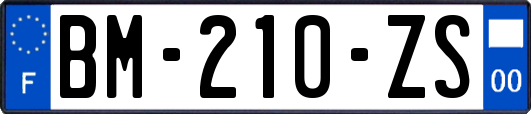 BM-210-ZS