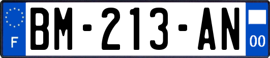 BM-213-AN