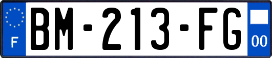 BM-213-FG