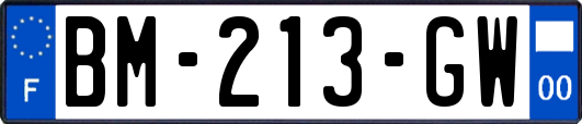 BM-213-GW