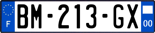 BM-213-GX