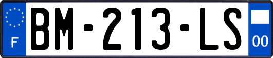 BM-213-LS