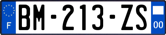 BM-213-ZS