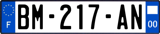 BM-217-AN