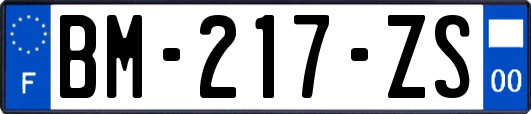 BM-217-ZS