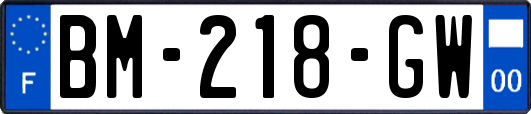 BM-218-GW