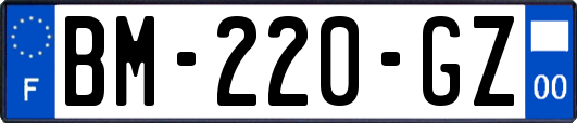 BM-220-GZ