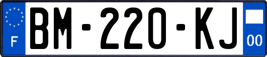 BM-220-KJ