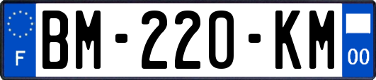 BM-220-KM