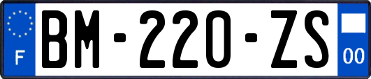 BM-220-ZS