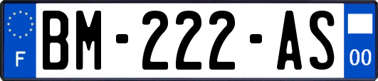 BM-222-AS