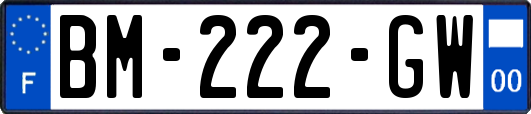 BM-222-GW