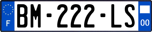 BM-222-LS