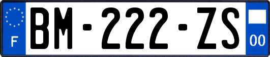 BM-222-ZS