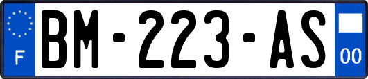 BM-223-AS