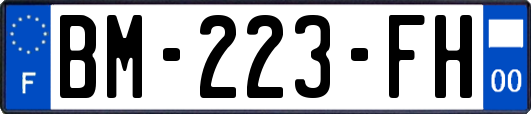 BM-223-FH