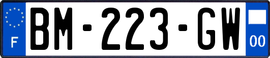 BM-223-GW