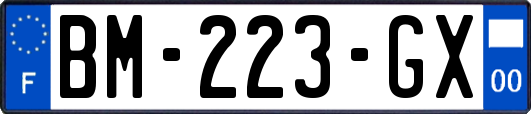 BM-223-GX