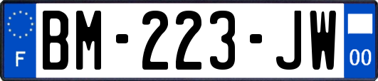 BM-223-JW