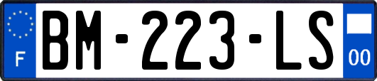 BM-223-LS