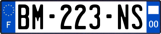 BM-223-NS