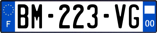 BM-223-VG